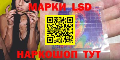 стафф Краснознаменск
